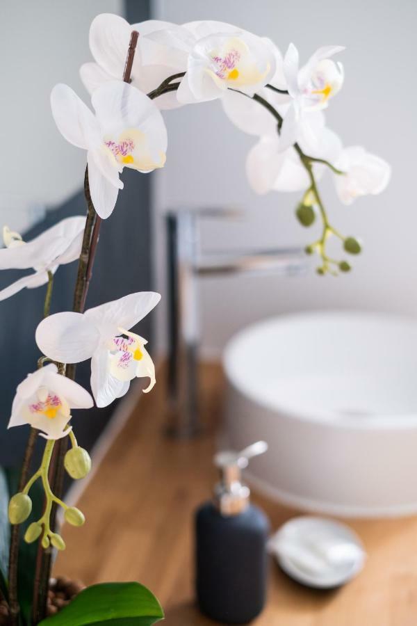 Saint Laurent - Appartement- Les Locations De Proust Apartment